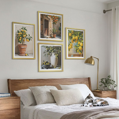 4 paveikslų rinkinys su rėmais Citrinmedžiai vazonuose