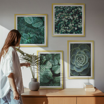 4 paveikslų rinkinys su rėmais Žali sukulentų lapai