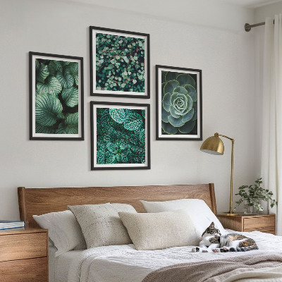 4 paveikslų rinkinys su rėmais Žali sukulentų lapai