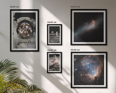 Sieninė paveikslų galerija Astronautai nusileidžia Mėnulyje
