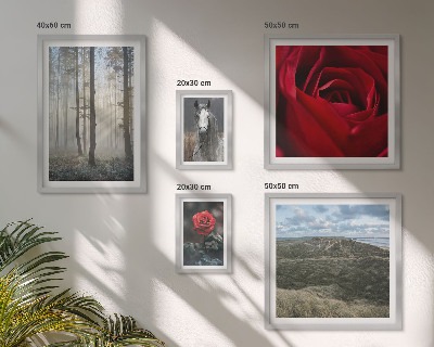 Sieninė paveikslų galerija Gamtos gėlės, įvairūs stiliai