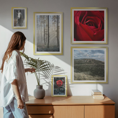 Sieninė paveikslų galerija Gamtos gėlės, įvairūs stiliai