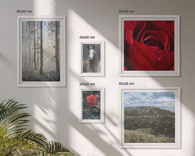 Sieninė paveikslų galerija Gamtos gėlės, įvairūs stiliai