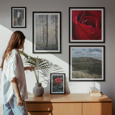 Sieninė paveikslų galerija Gamtos gėlės, įvairūs stiliai