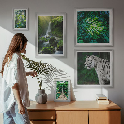 Sieninė paveikslų galerija Atogrąžų gamtos peizažai