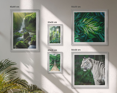 Sieninė paveikslų galerija Atogrąžų gamtos peizažai