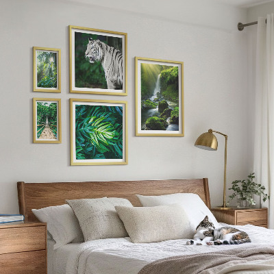 Sieninė paveikslų galerija Atogrąžų gamtos peizažai