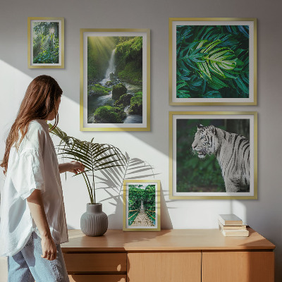 Sieninė paveikslų galerija Atogrąžų gamtos peizažai
