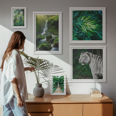 Sieninė paveikslų galerija Atogrąžų gamtos peizažai