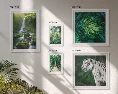 Sieninė paveikslų galerija Atogrąžų gamtos peizažai