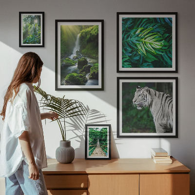 Sieninė paveikslų galerija Atogrąžų gamtos peizažai