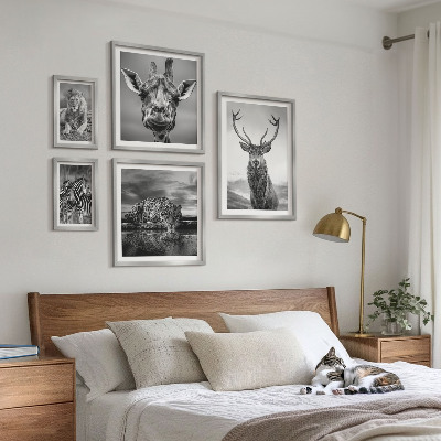 Sieninė paveikslų galerija Juodai balti gyvūnai gamtoje