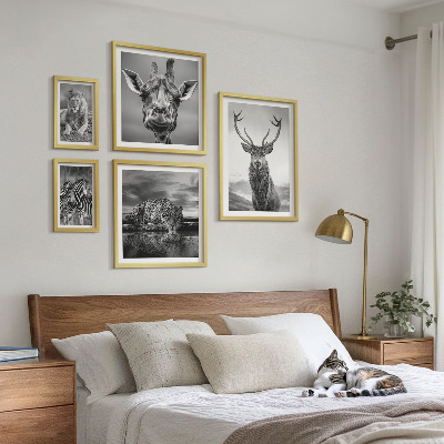 Sieninė paveikslų galerija Juodai balti gyvūnai gamtoje