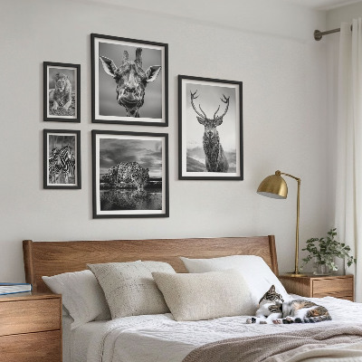 Sieninė paveikslų galerija Juodai balti gyvūnai gamtoje