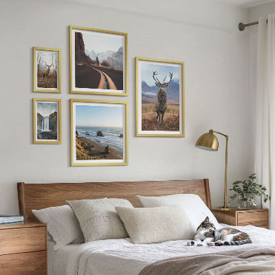 Paveikslų rinkinys miegamajam Gamta laukiniai gyvūnai peizažai