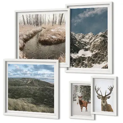 Sieninė paveikslų galerija laukine gamta ir didingi kalnai
