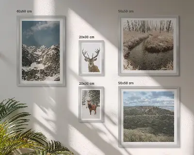 Sieninė paveikslų galerija laukine gamta ir didingi kalnai