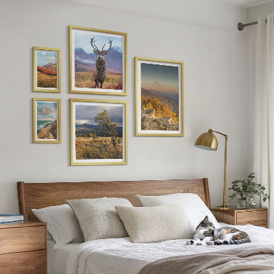 5 paveikslų rinkinys su rėmais Kalnų laukinės gamtos peizažai