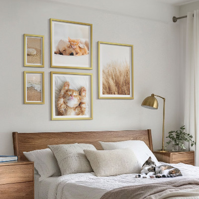 5 paveikslų rinkinys su rėmais Mieli gyvūnų peizažai