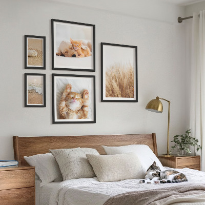 5 paveikslų rinkinys su rėmais Mieli gyvūnų peizažai
