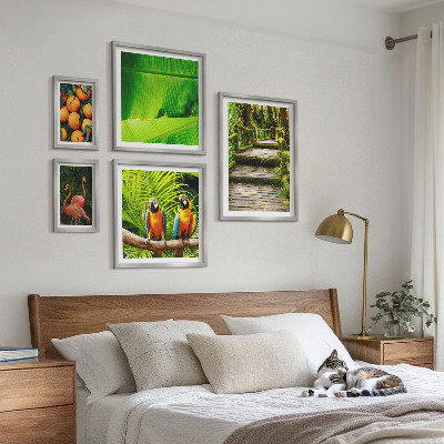 5 paveikslų rinkinys su rėmais Tropinės gamtos vaisių motyvai