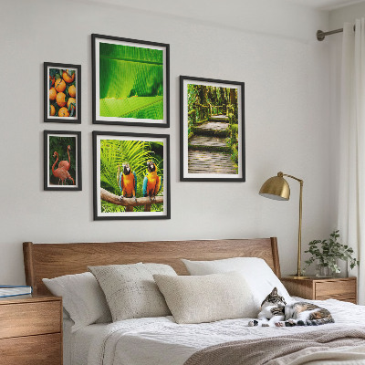 5 paveikslų rinkinys su rėmais Tropinės gamtos vaisių motyvai