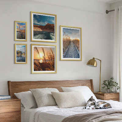 Sieninė paveikslų galerija Peizažų vandens augmenijos takas