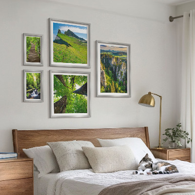 Sieninė paveikslų galerija Žali peizažai gamtos takai