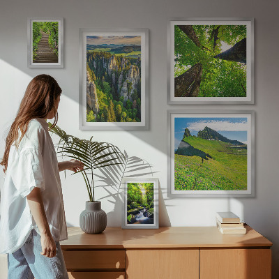 Sieninė paveikslų galerija Žali peizažai gamtos takai