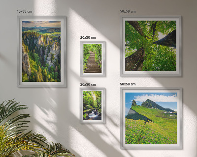 Sieninė paveikslų galerija Žali peizažai gamtos takai