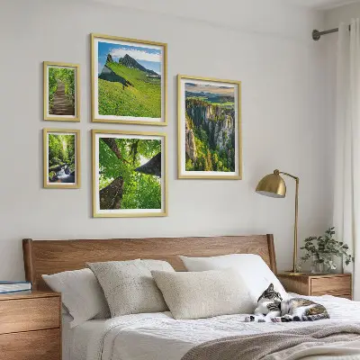 Sieninė paveikslų galerija žali gamtos peizažai ir takai