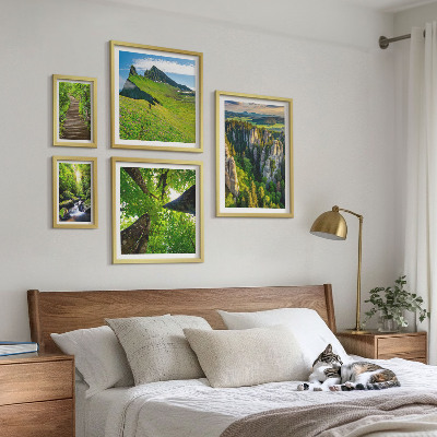 Sieninė paveikslų galerija Žali peizažai gamtos takai