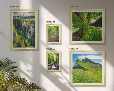 Sieninė paveikslų galerija žali gamtos peizažai ir takai