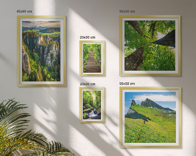 Sieninė paveikslų galerija Žali peizažai gamtos takai