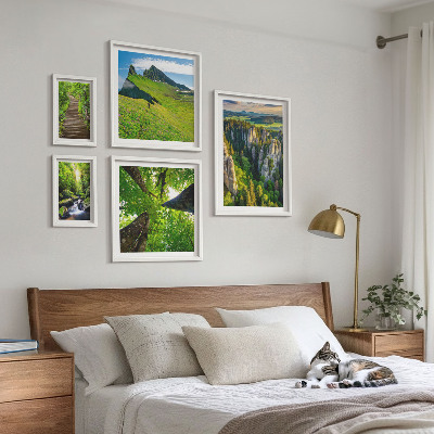 Sieninė paveikslų galerija Žali peizažai gamtos takai