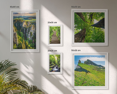 Sieninė paveikslų galerija Žali peizažai gamtos takai