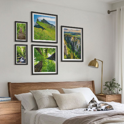 Sieninė paveikslų galerija Žali peizažai gamtos takai