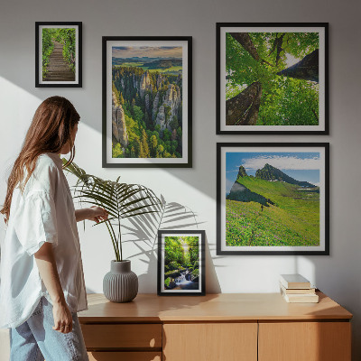 Sieninė paveikslų galerija Žali peizažai gamtos takai