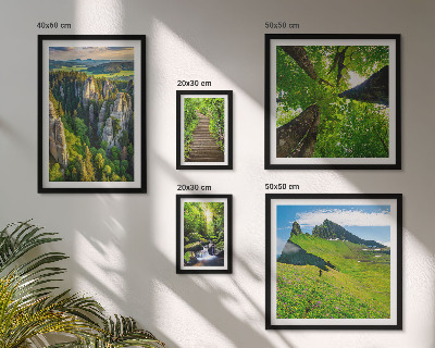Sieninė paveikslų galerija Žali peizažai gamtos takai