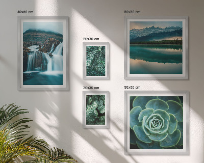 Sieninė paveikslų galerija Žali augalai kriokliai gamta