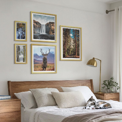 5 paveikslų rinkinys su rėmais Peizažai kriokliai gamta