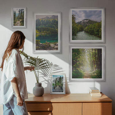 Sieninė paveikslų galerija Kalnų peizažai ir miško takai