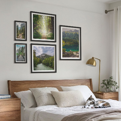 Sieninė paveikslų galerija Kalnų peizažai ir miško takai