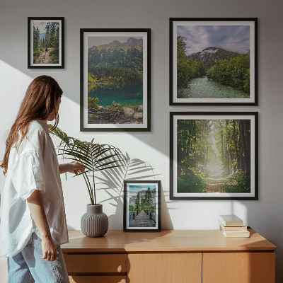 Sieninė paveikslų galerija Kalnų peizažai ir miško takai