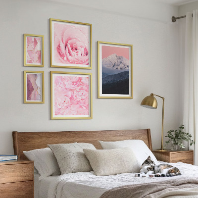 5 paveikslų rinkinys su rėmais Rožiniai peizažai šiuolaikinės gėlės