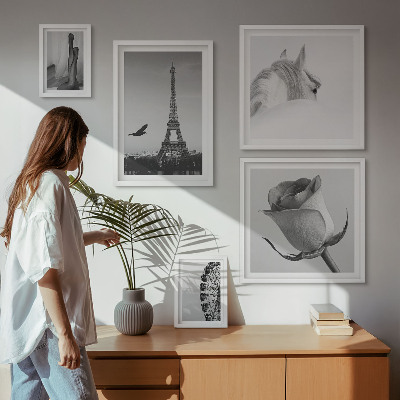 5 paveikslų rinkinys su rėmais Stilingi nespalvoti vaizdai