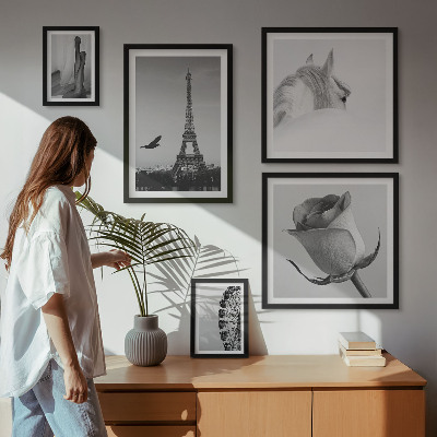 5 paveikslų rinkinys su rėmais Stilingi nespalvoti vaizdai