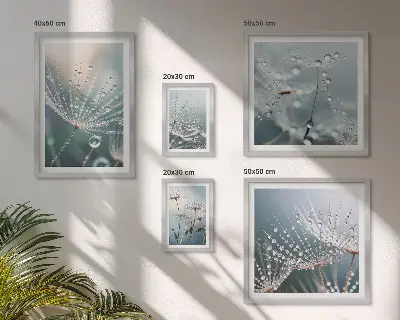 Sieninė paveikslų galerija minimalistiniai rasos lašai ant augalų