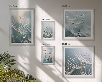 Sieninė paveikslų galerija Minimalistiniai rasos lašai augalams
