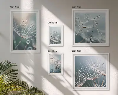 Sieninė paveikslų galerija minimalistiniai rasos lašai ant augalų